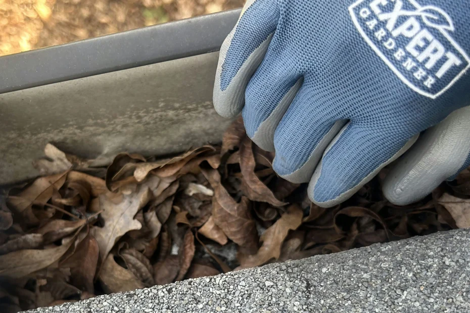 Gutter Cleaning Raleigh NC