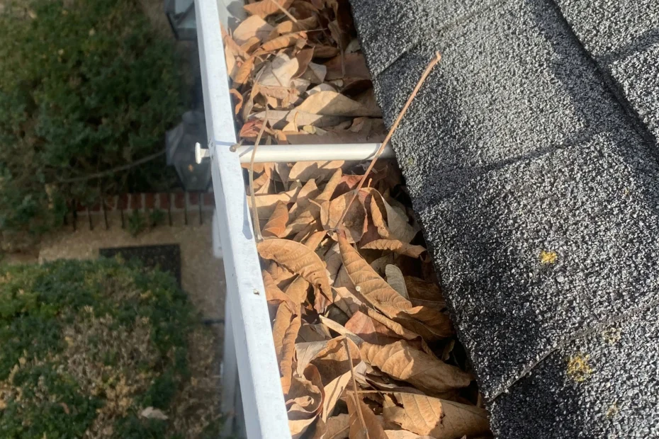 Gutter Cleaning Raleigh NC