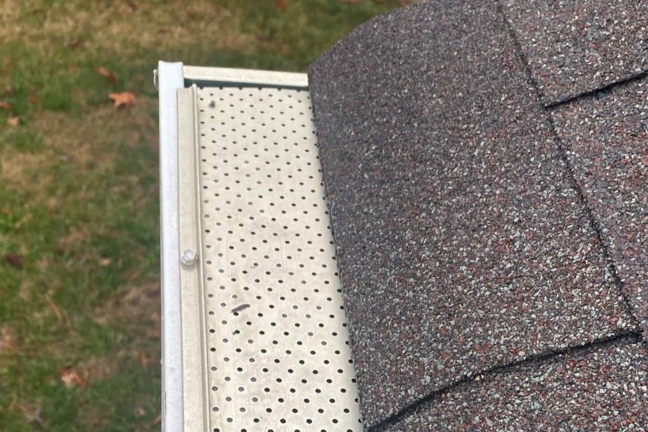 Gutter Cleaning Raleigh NC